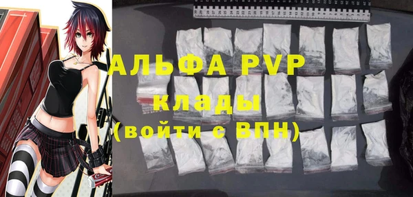 крисы Богородск