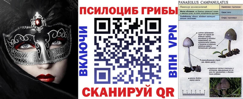 хочу наркоту  Болотное  Галлюциногенные грибы мухоморы 